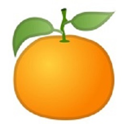 Circle Image